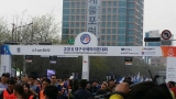2015 대구국제마라톤대회 참가 관련사진
