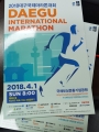 2018대구국제마라톤대회 스포츠칼럼 관련사진